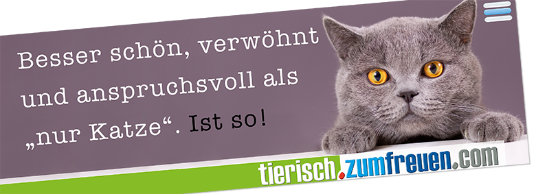 domain für tiernahrung